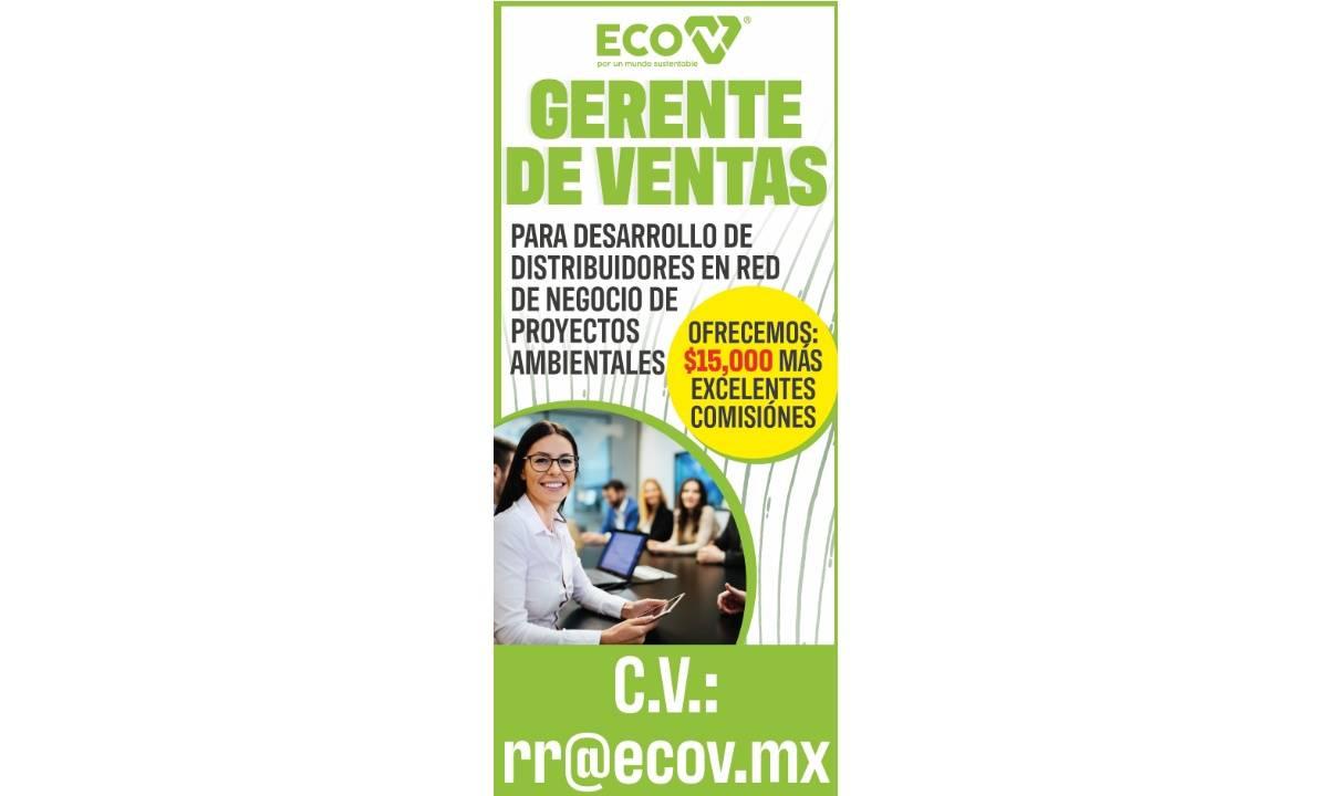 GERENTE DE VENTAS